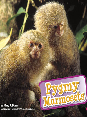 cover image of Pygmy Marmosets